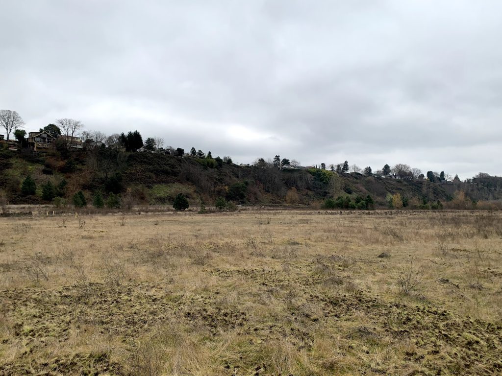 Bluffs behind the McCormick & Baxter site