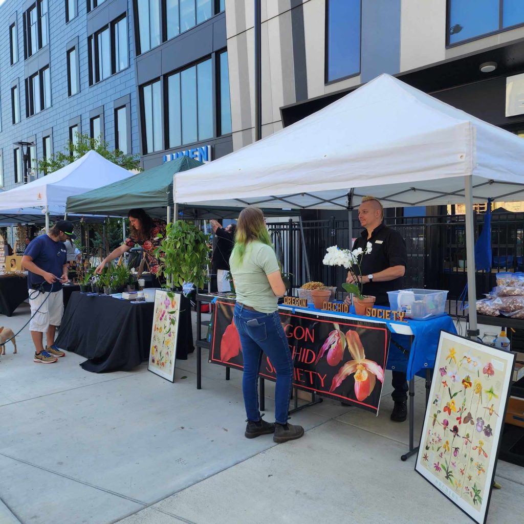 Photo of the Oregon Orchid Society booth at The Other Plant Sale 
