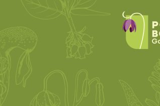 refreshed logo for portland botanical gardens