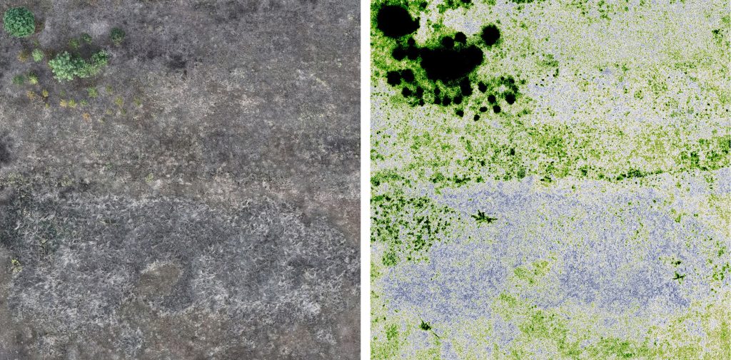 Comparison of Aerial and Multispectral Imagery at McCormick & Baxter Superfund Site