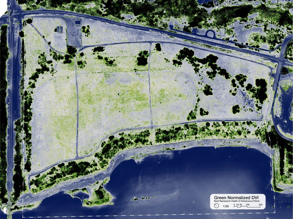 Green Normalized Differentiated Vegetation Index