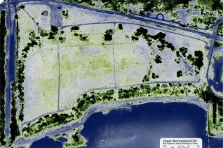 Green Normalized Differentiated Vegetation Index